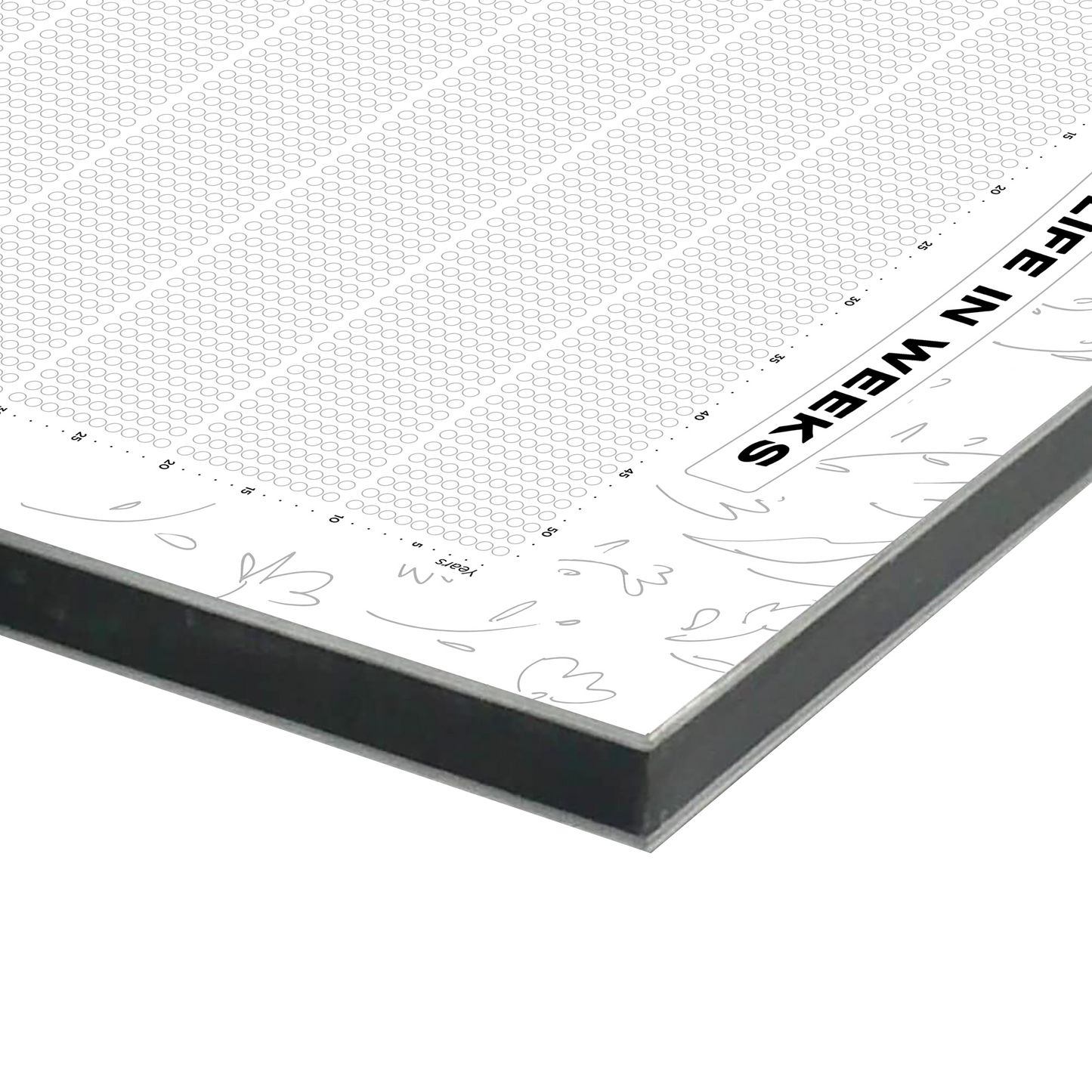 Life Calendar - WHITE Edition