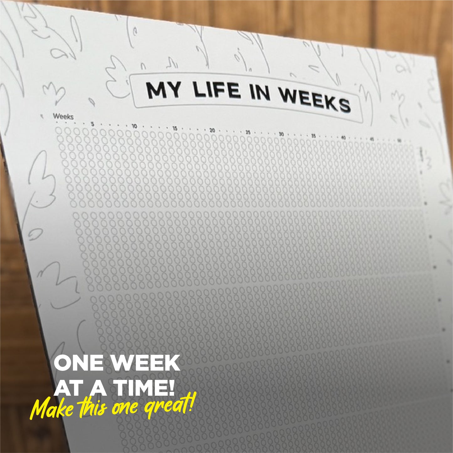 Life Calendar - WHITE Edition