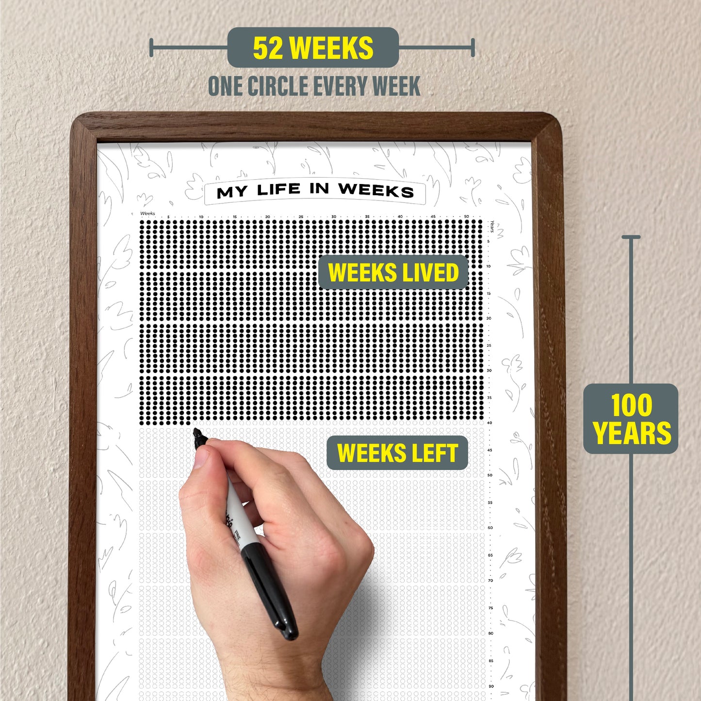 Life Calendar - WHITE Edition